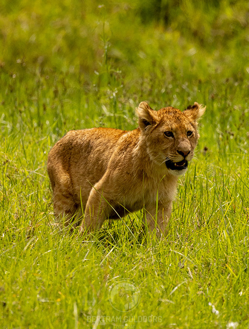 tanzania-02.jpg