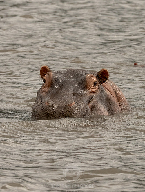 tanzania-03.jpg