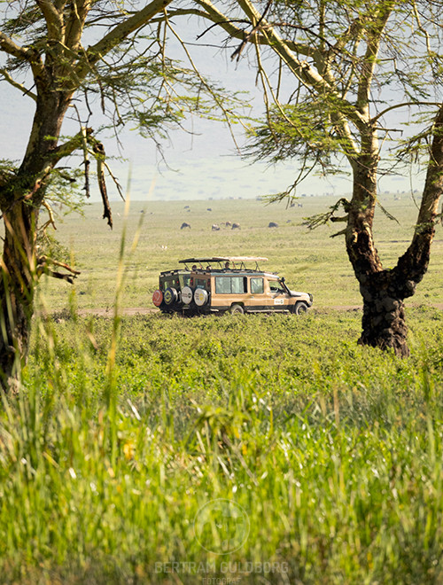 tanzania-08.jpg