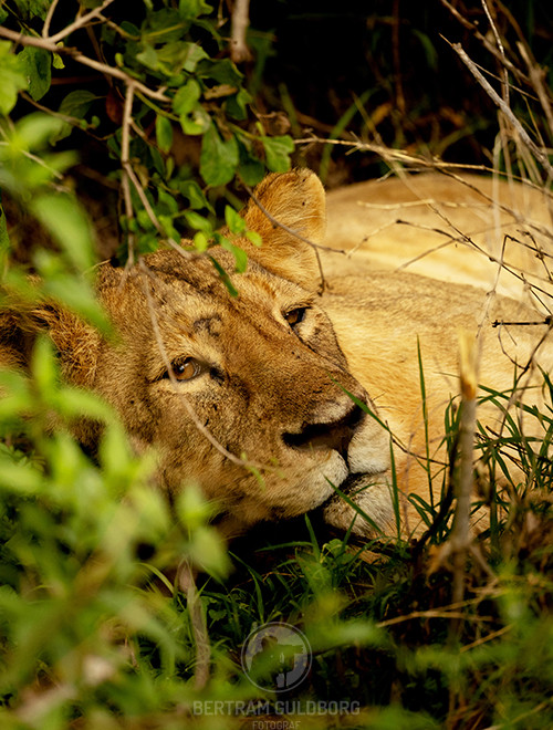 tanzania-13.jpg