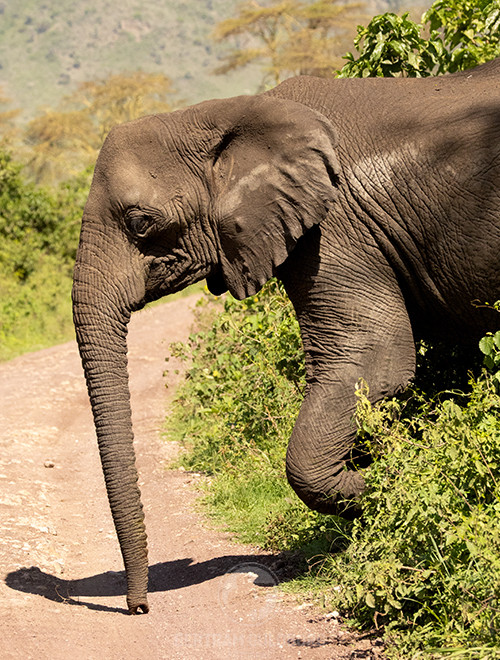 tanzania-15.jpg