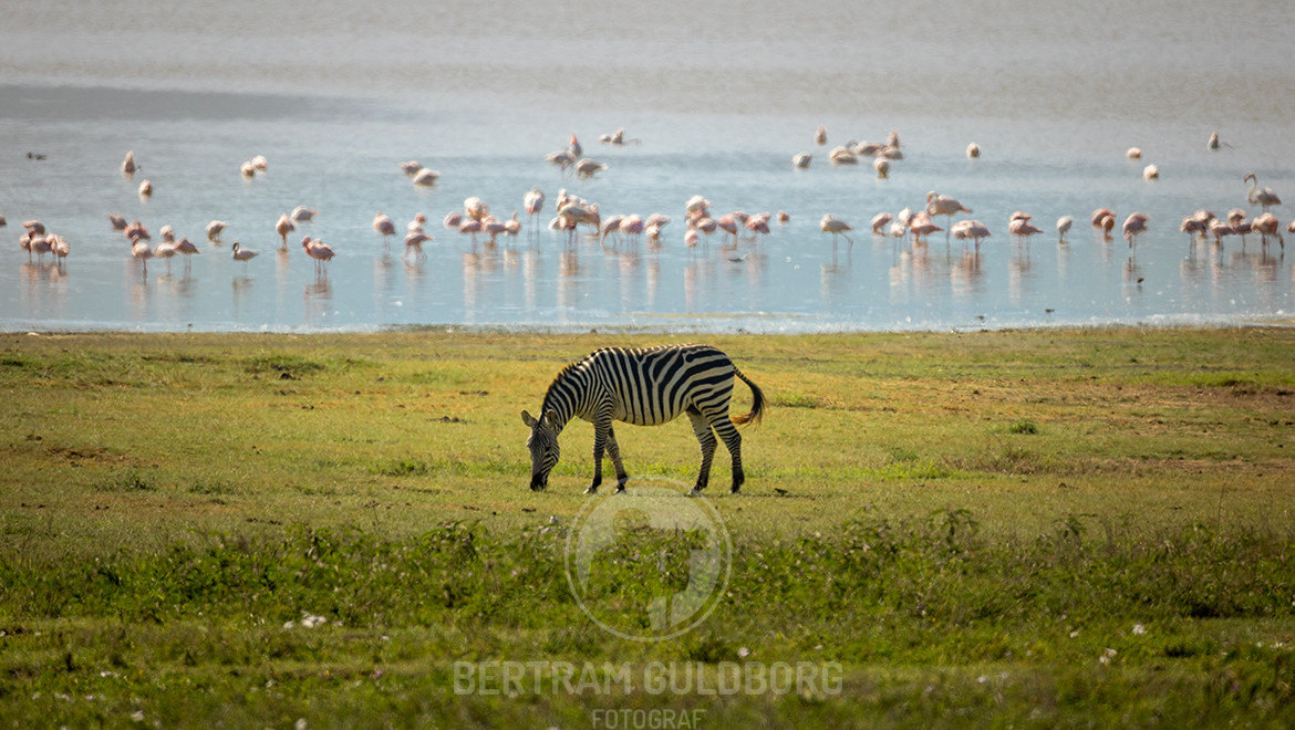 tanzania-17.jpg