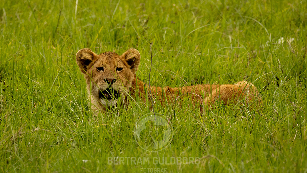 tanzania-18.jpg