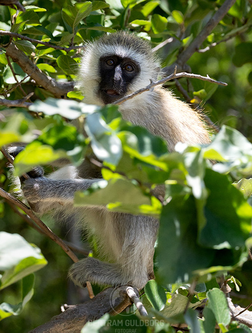 tanzania-25.jpg