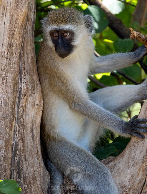 tanzania-26.jpg