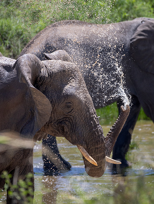 tanzania-27.jpg