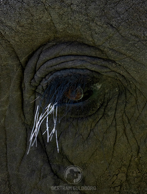 tanzania-28.jpg