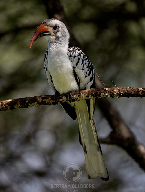 tanzania-29.jpg