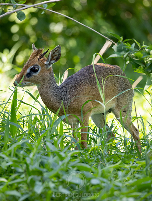 tanzania-31.jpg
