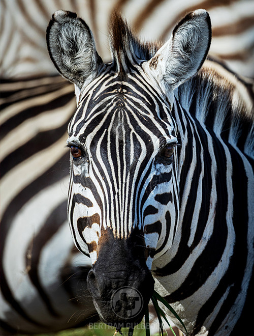 tanzania-35.jpg